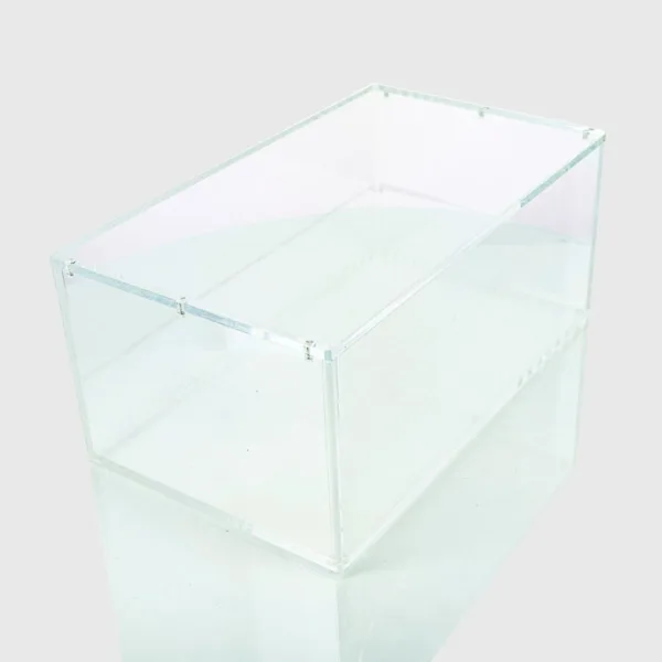 Acrylic Case Display de Bundle 1