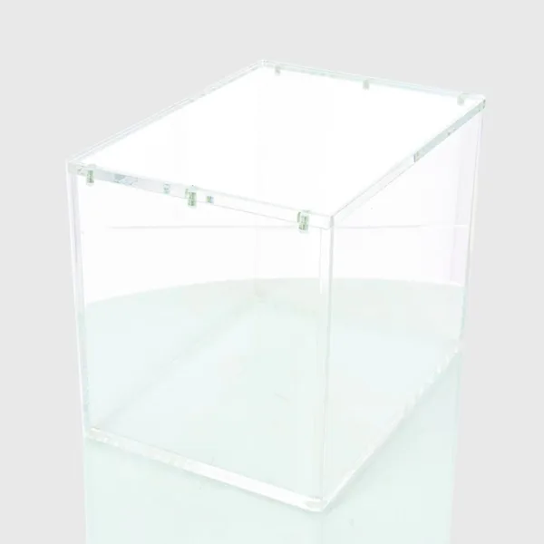Acrylic Case Pokébox 1