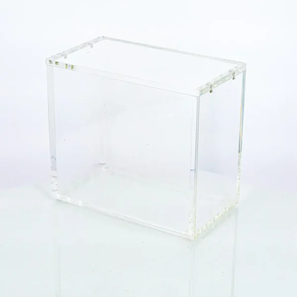 Acrylic Case Display Pokémon 1